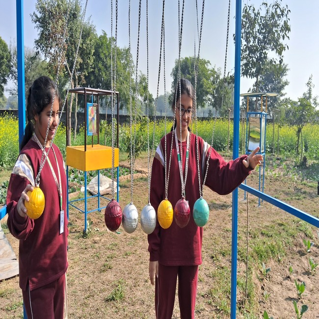 Class 9 harvests joy and knowledge at the School eco park